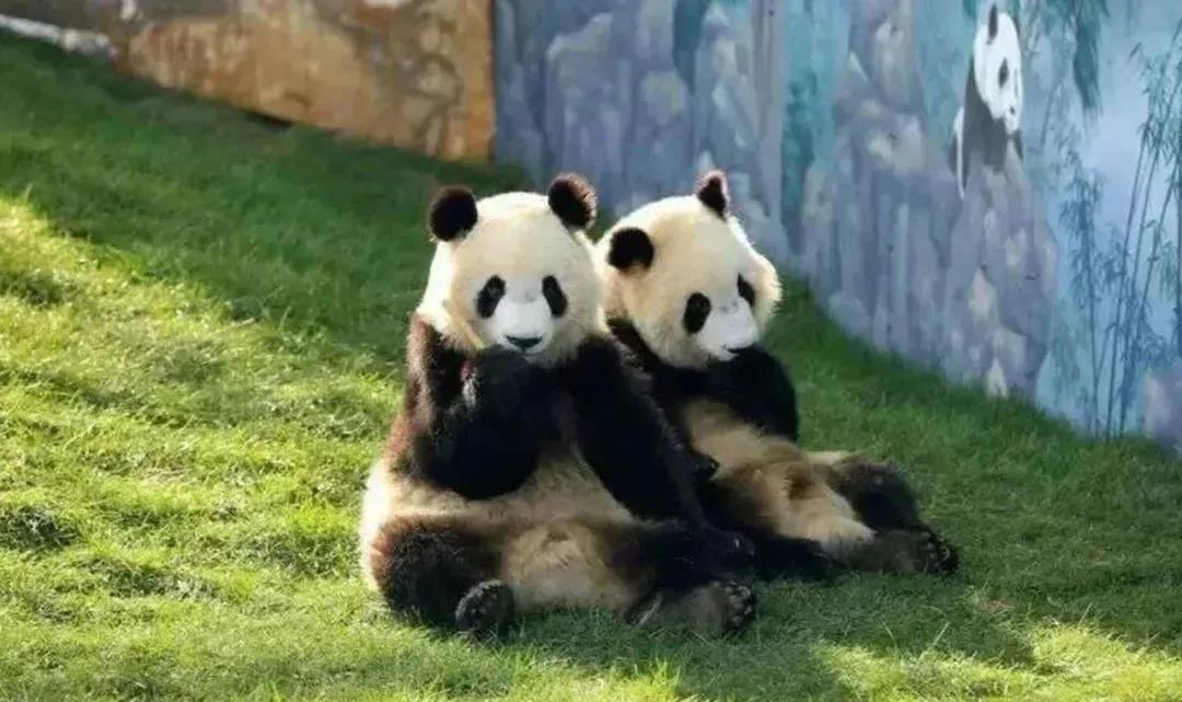 微信圖片_20210113153328.jpg 微信圖片_20210113153328.jpg