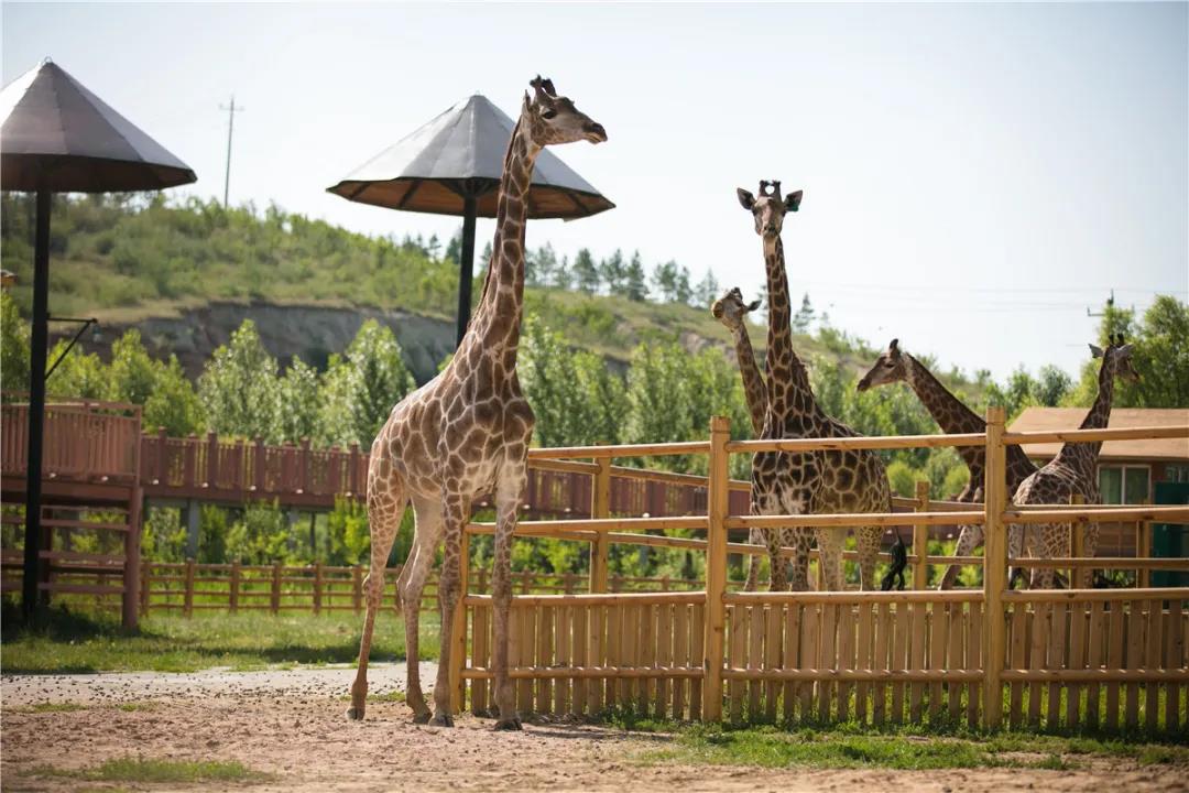 微信圖片_20210113153333.jpg 微信圖片_20210113153333.jpg