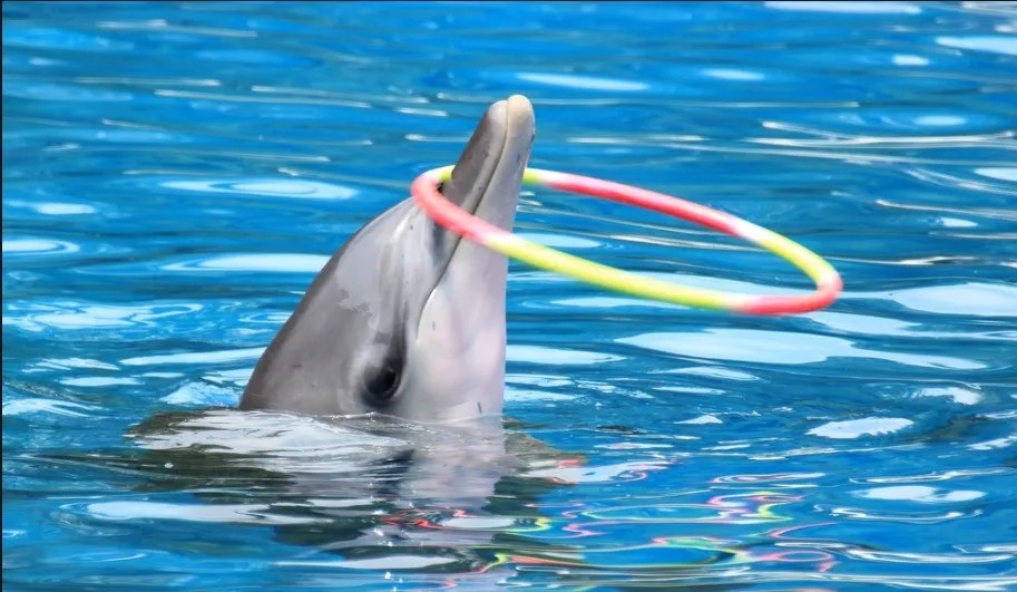 微信圖片_202105140911251.jpg 微信圖片_202105140911251.jpg